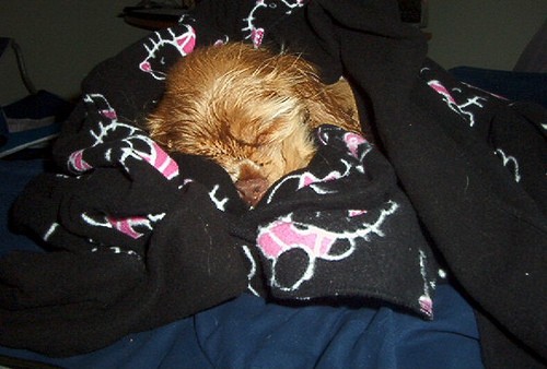 La hora de la siesta