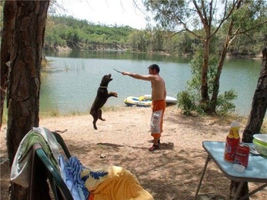 saltando a por el palo