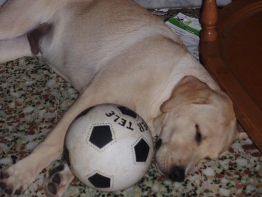 junior cansado despues de tanto jugar a la pelota