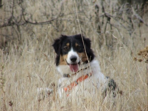 Linda en el campo