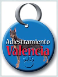 Escuela de Adiestramiento canino.
Formación de educadores caninos oficial.
Formación de empresas de seguridad.
Formación de unidades caninas policiales.