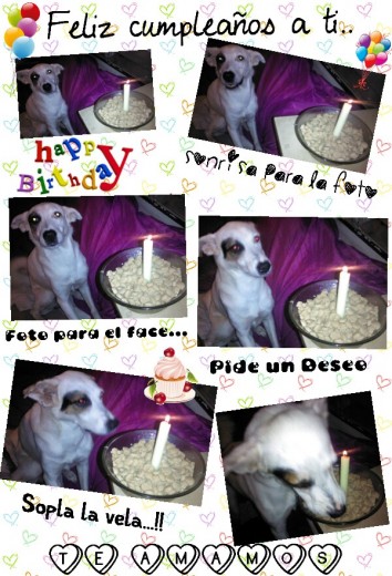 Su cumpleaños #6