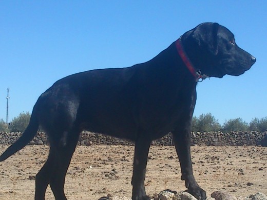 Lola con año y medio