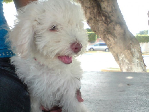 mi primer salida al parque despues de 4 meses