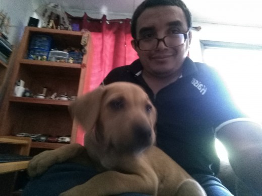 Se llama Cany, actualmente tiene 4 meses, hace poco vi una foto idéntica a mi perrita en versión adulta y realmente quedé impresionado y fascinado del tamaño de la perra.
Quiero saber que raza es?