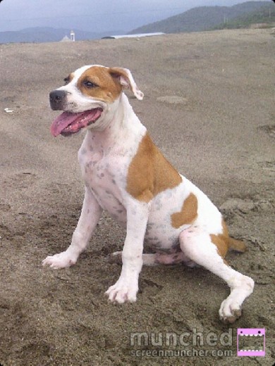 en la playa (3 meses)