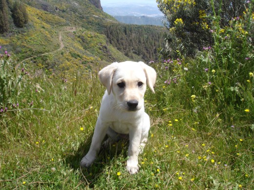 1ª salida a la montaña!