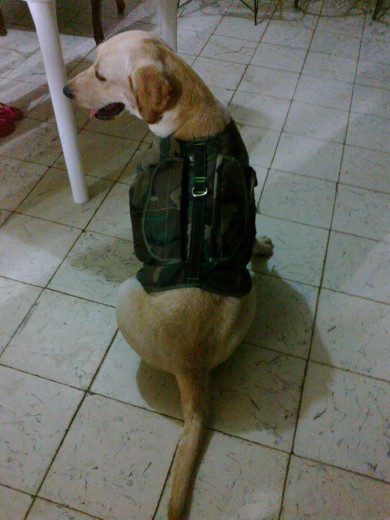 Hermos con su camuflado