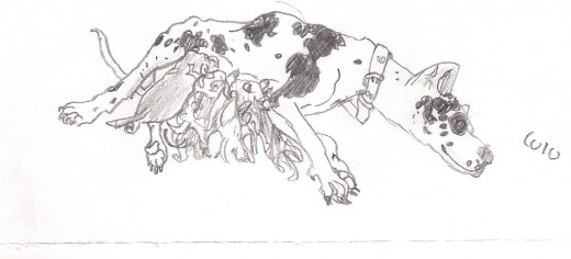no me salio ten bien que digamos este es el primer dibujo que hice de un perro jajajajaja.... subire mas .... (esta perrita es lulu .,ya fallecio =( )