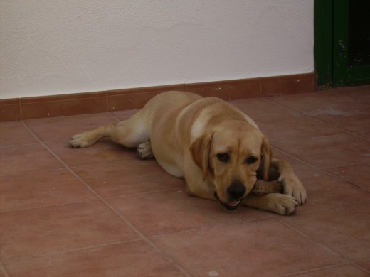 venus con 7 meses