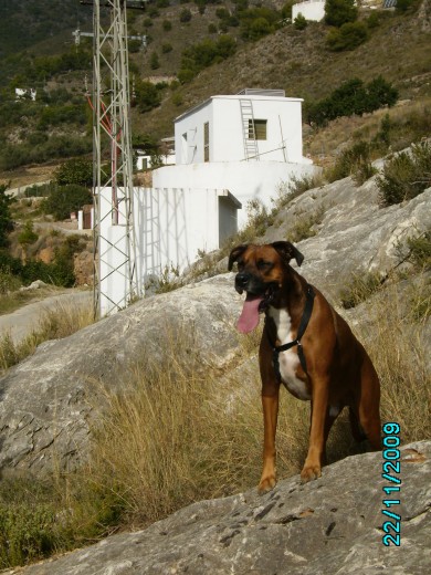 en o alto de la laja..