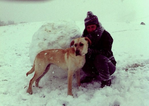 Como disfruta de la nieve