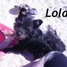 Lola