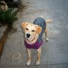 Fiona