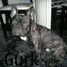 Gurk