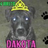 dakota