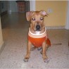 Tayson